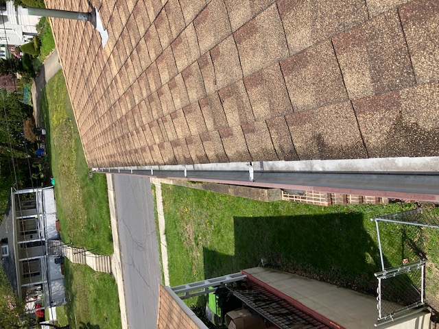 Gutter Cleaning
